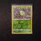 Pokemon Go Ditto Spinarak 006/078 - Englisch - Boosterfrisch - NM - Unpeeled