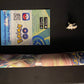 Pokemon Go Evoli Spielmatte Neu inkl. Pin & Pokémon Go Sammelcode Promo